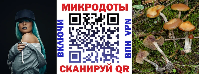 Псилоцибиновые грибы Psilocybine cubensis  Купить закладки  Зверево 